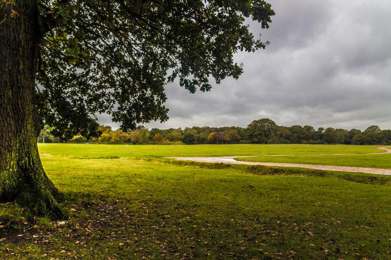 southampton common2