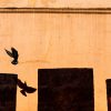 1-2-1 Personalised Photography Class: Tailored for You - Image 8