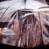 1-2-1 Personalised Photography Class: Tailored for You - Image 7
