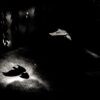 1-2-1 Personalised Photography Class: Tailored for You - Image 4