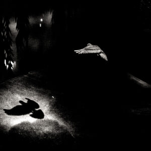 Street Photography Workshop 3h Embankment