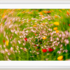 Print A3 Plus Flowers - Image 3