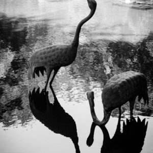 A3 Plus Print Birds