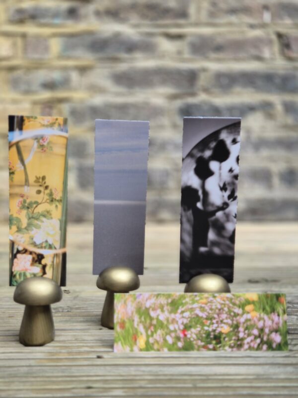 Book marks -  4