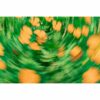 Beginners Course in Digital Photography - Image 2
