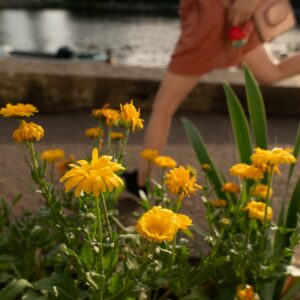 Beginners Course in Digital Photography