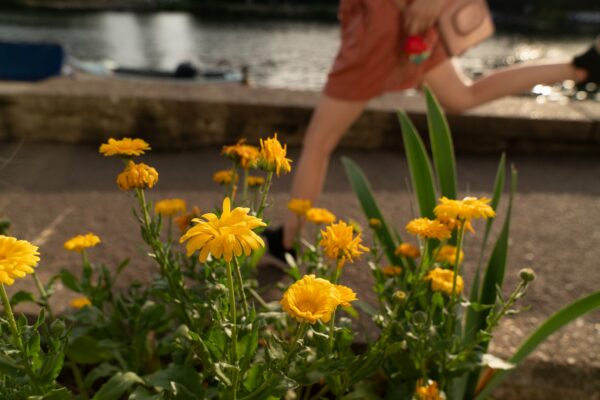 Beginners Course in Digital Photography